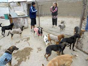 Shelter Check-In