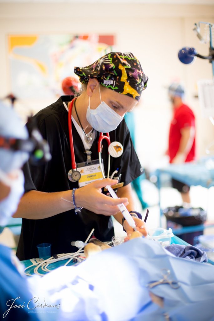Spay & Neuter street dogs of Huanchaco, Peru