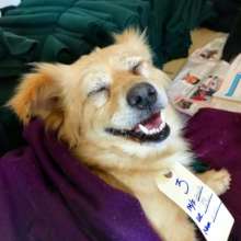 Happy Fella!