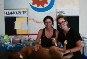 Clinic volunteers