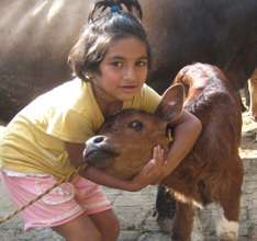 A girl who lost her parents to AIDS