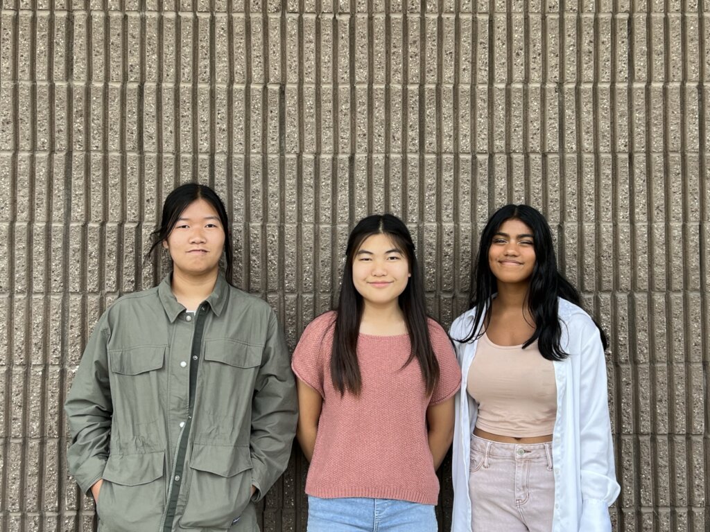 Leadership Initiatives Students Creating Change