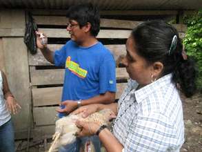 Chicken Vaccination Workshop
