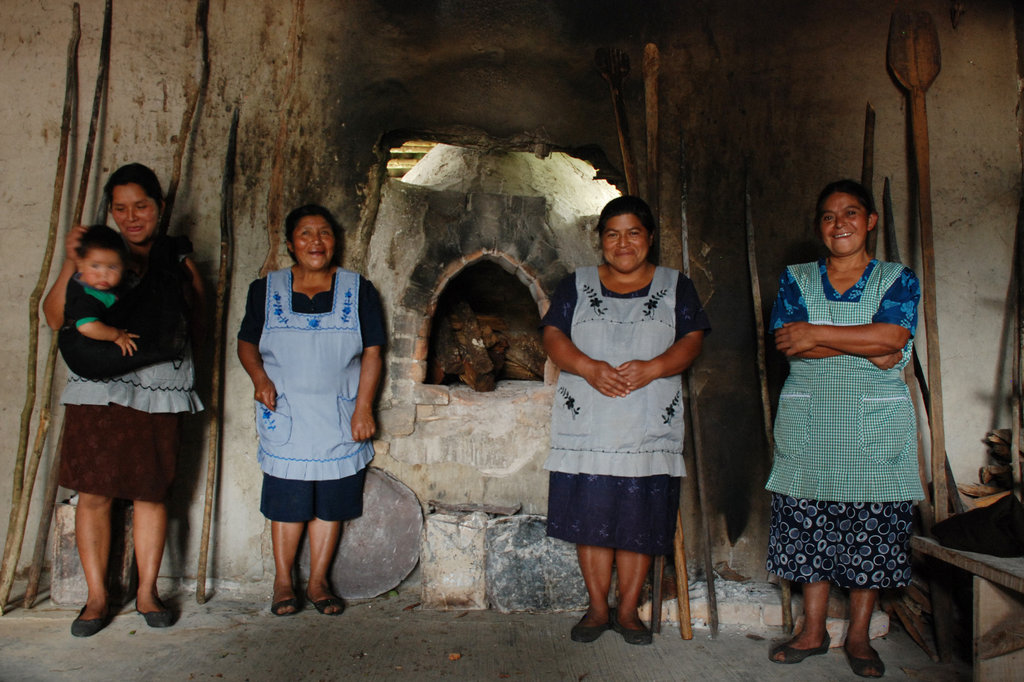 Sustainable Organic Agriculture in Chiapas, Mexico