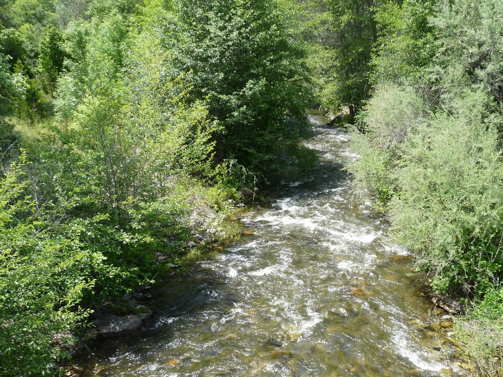 Restoring water in the Little Applegate River
