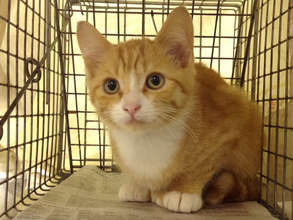 Kitty #6,400 of our FY11-12
