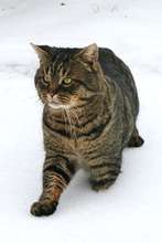 Chuck showed up during a snow storm