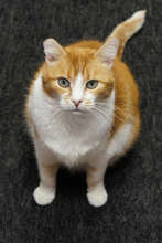 "Herman" very much at peace inside his home