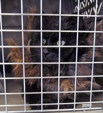 Mattie, when she first arrived at FCCO's clinic