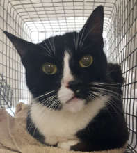Mama Kitty at FCCO's clinic