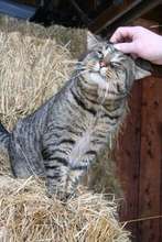 Before he was neutered