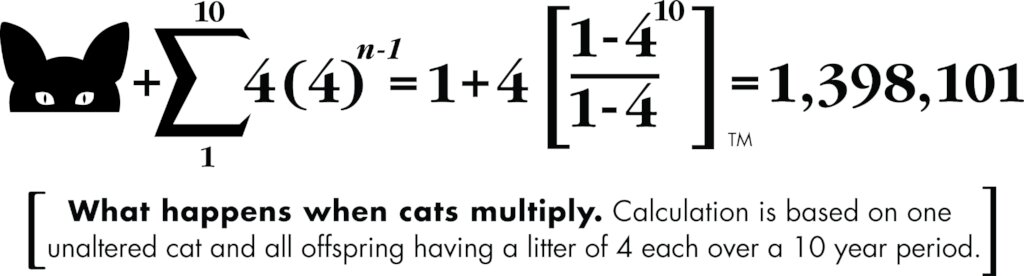Feral Cat Equation