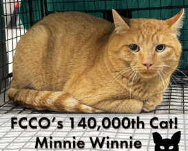 Minnie Winne