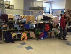 More cats awaiting surgery for the Sunday clinic