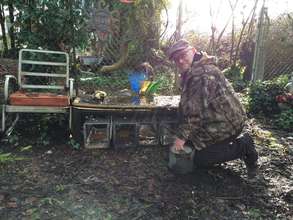 Caregiver Mel "pre-baiting" traps for his colony