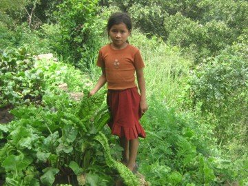 Help Guatemalan Families Grow Vegetable Gardens