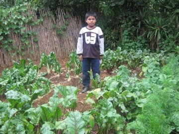 Help Guatemalan Families Grow Vegetable Gardens
