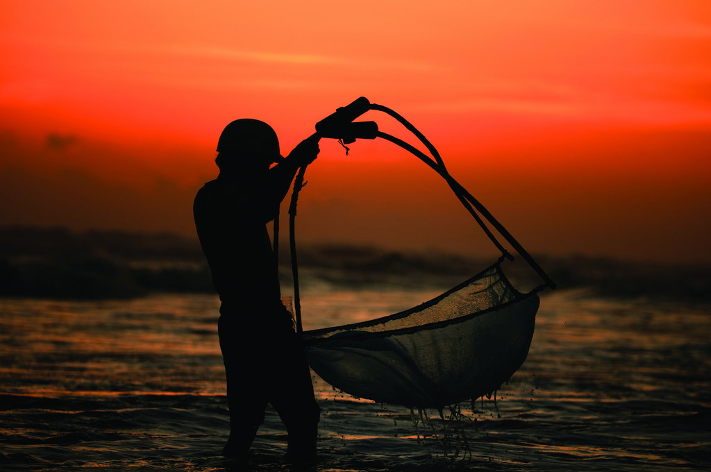 Reduce Overfishing in the Coral Triangle