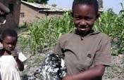 Newcastle Disease Control in Chickens, Ethiopia