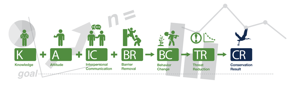 Rare's Theory of Change
