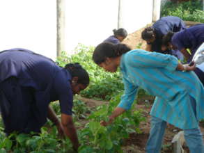 Organic farming