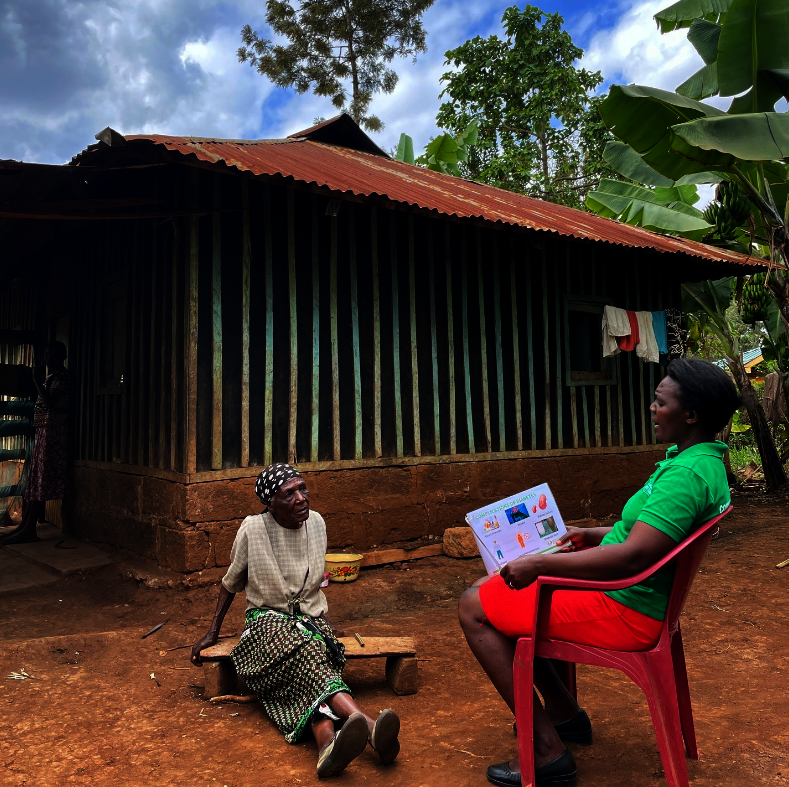 Promote Healthy Communities in Kenya: CHW Program