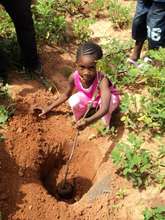 Koro planting a tree