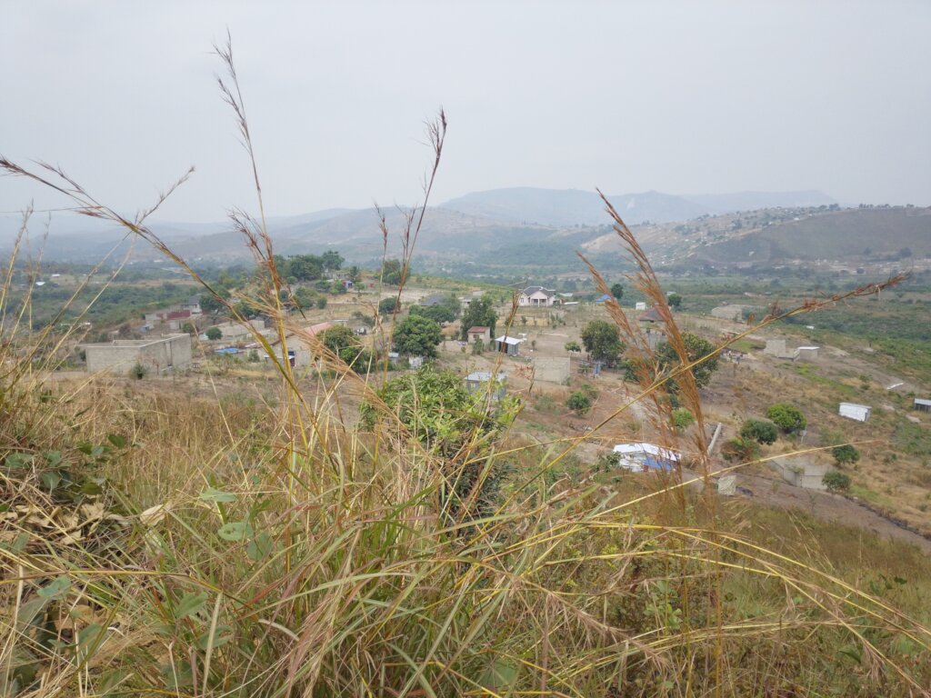 There is enough space and free land for IDPs here
