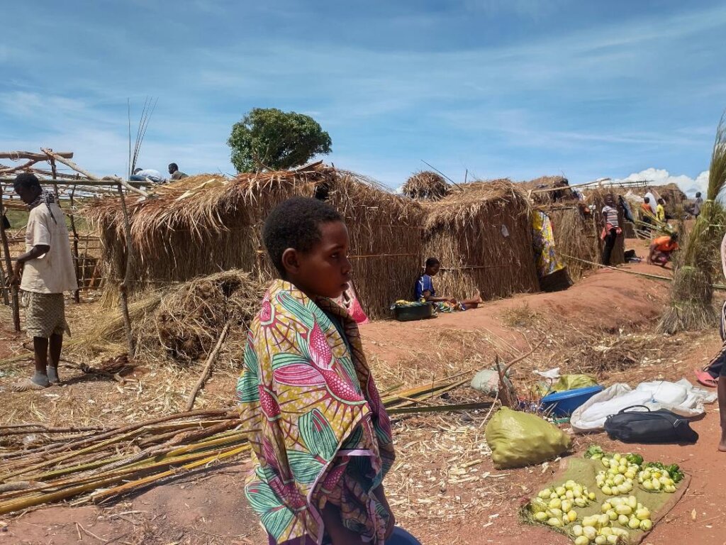Build a shelter for the war survivors in DRCongo