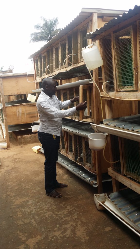 A rabbit breeding farm for youth in Uganda GlobalGiving
