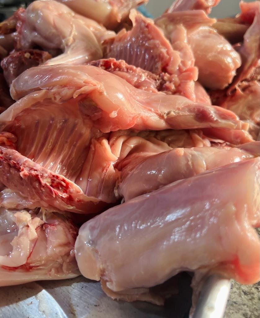 A rabbit breeding farm for youth in Uganda