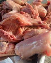 Rabbit meat