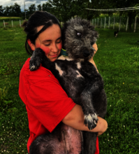 Provide Mental Health Support for Rural Children