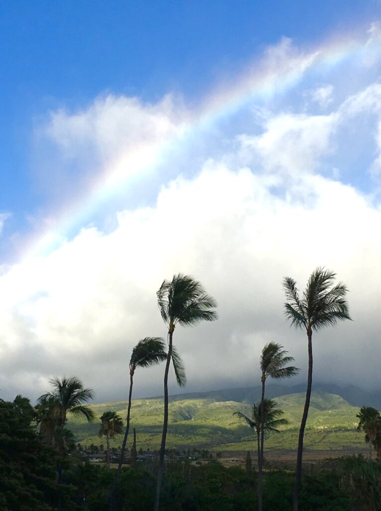 Giving Light & Hope to Families - Maui Wildfires