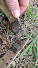 Collar showing ripped drop-away mechanism.