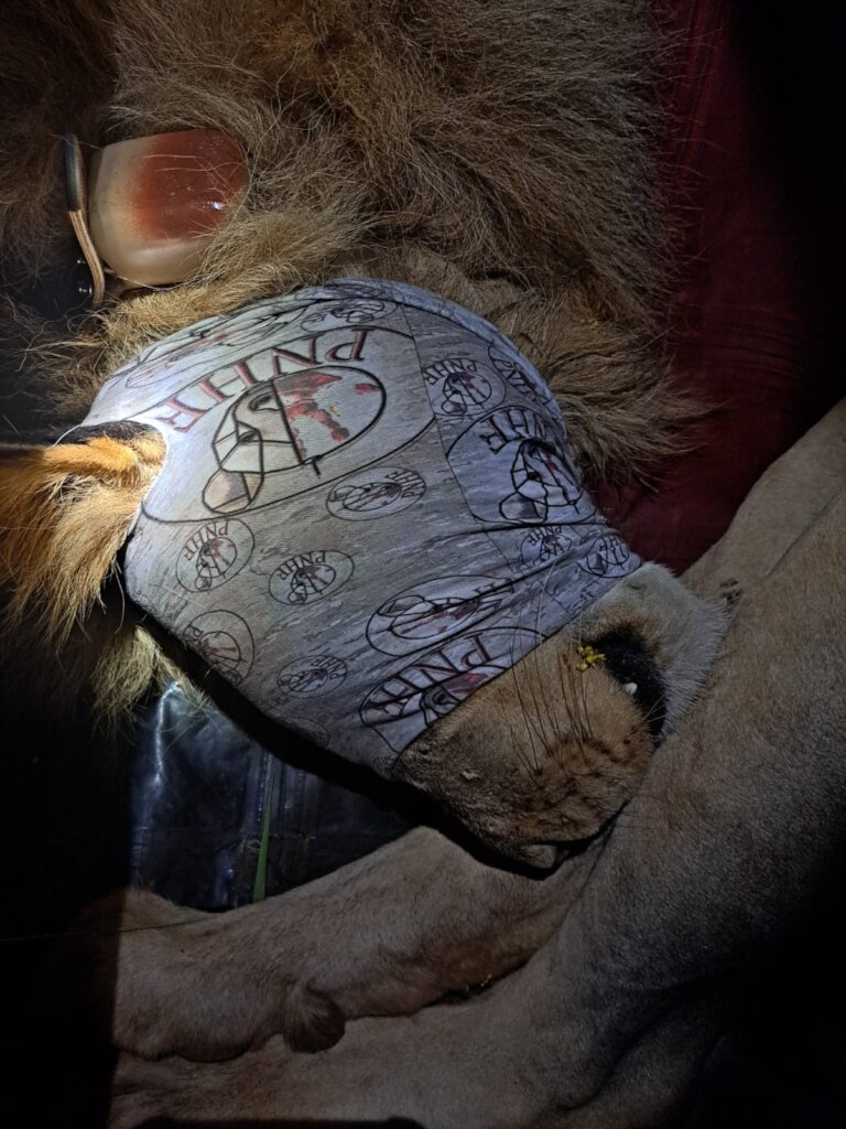 Wildlife research collars