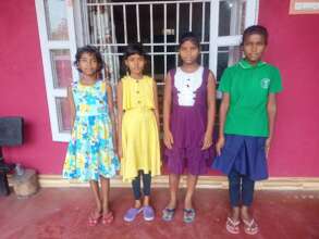 Our four new girls