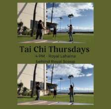Tai Chi Classes