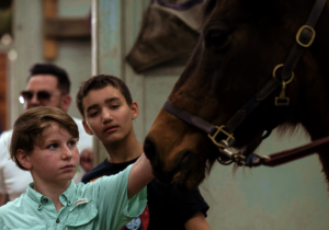 Petting Horses at the Vantage Point Farm!