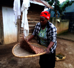 Seed recipient, Planetary Pulse Project, Uganda