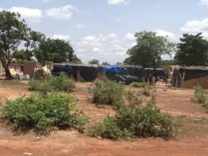 Temporary shelter using plastic sheets