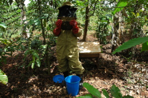 Farmer showing honey comb