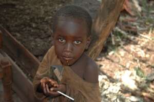 Josephine's son enjoyed the honey so much