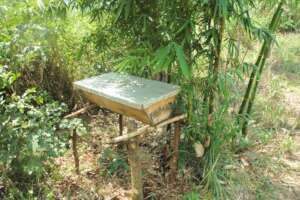 This hive is setup under bamboo, our first project