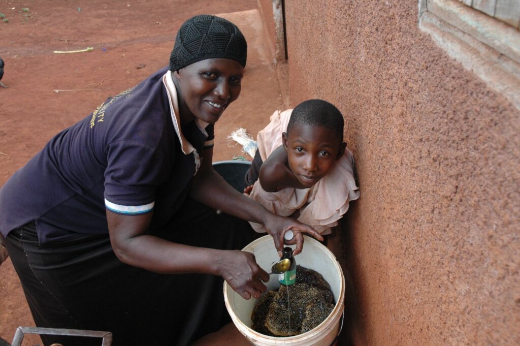 Help 65 poor women to start Beekeeping in Uganda