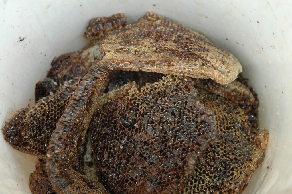 Help 65 poor women to start Beekeeping in Uganda