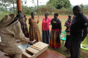 Hands-on training