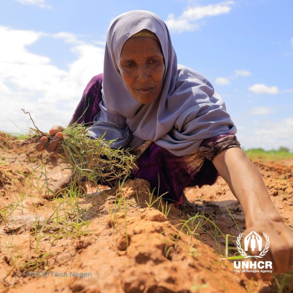Donate to Refugees hit hardest by hunger in Africa