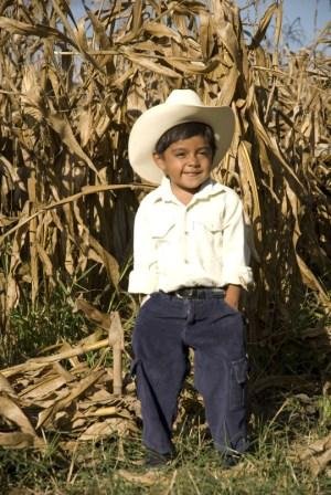 Increase family income of 50 Mexican farmers