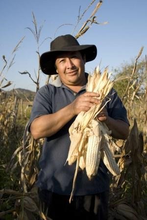 Increase family income of 50 Mexican farmers